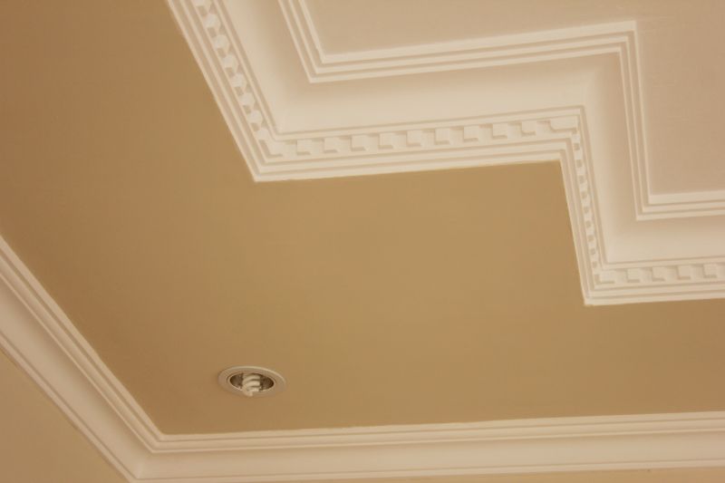 Ceiling Trim Painting